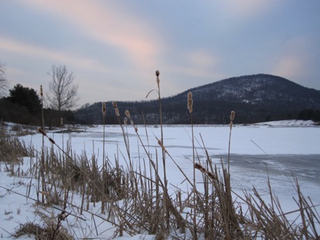 Indian Springs Wildlife Management Area, January.