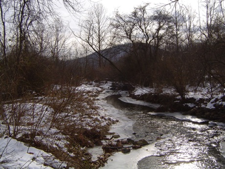 Winter, Indian Springs Wildlife Management Area.