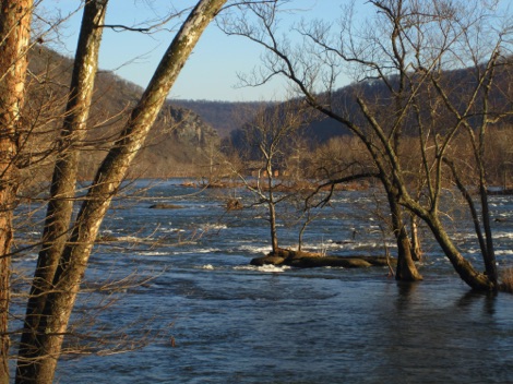 The Potomac River, photographed from the C&O Canal National Historical Park, upstream from Harpers Ferry.