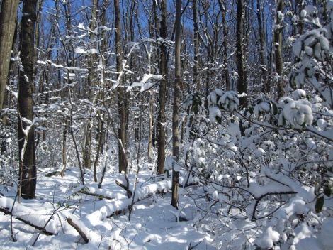 Walking the Appalachian Trail in Winter can be a snowy endeavor,